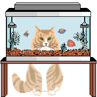 cat planning dinner