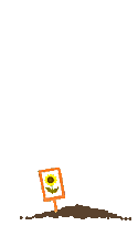 animated sunflower