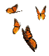 animated butterflies