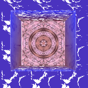This started out as a photo of a grasshopper