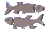 pisces symbol