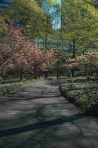 Sidewalk before adjustments