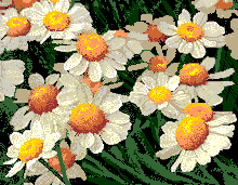 animated smiley flowers and ladybug